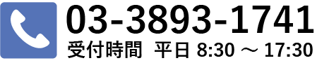 03-3893-1741
